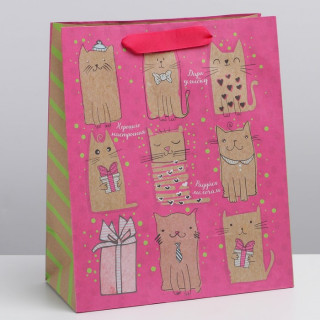 Пакет подарочный ПК-384 «Милые котики», 23 × 27 × 8 см